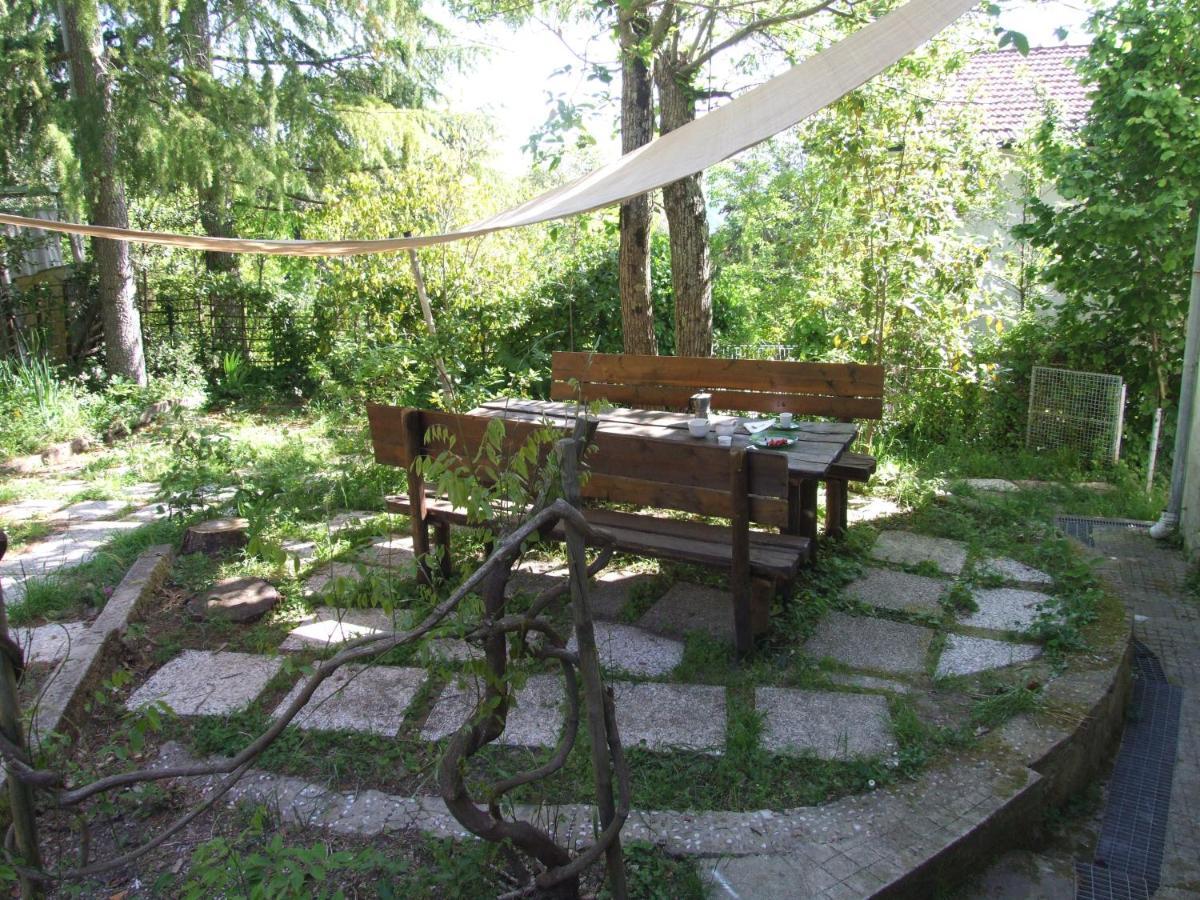 Vacanze Toscane In The Country - Villa Agrifogli 사세타 외부 사진