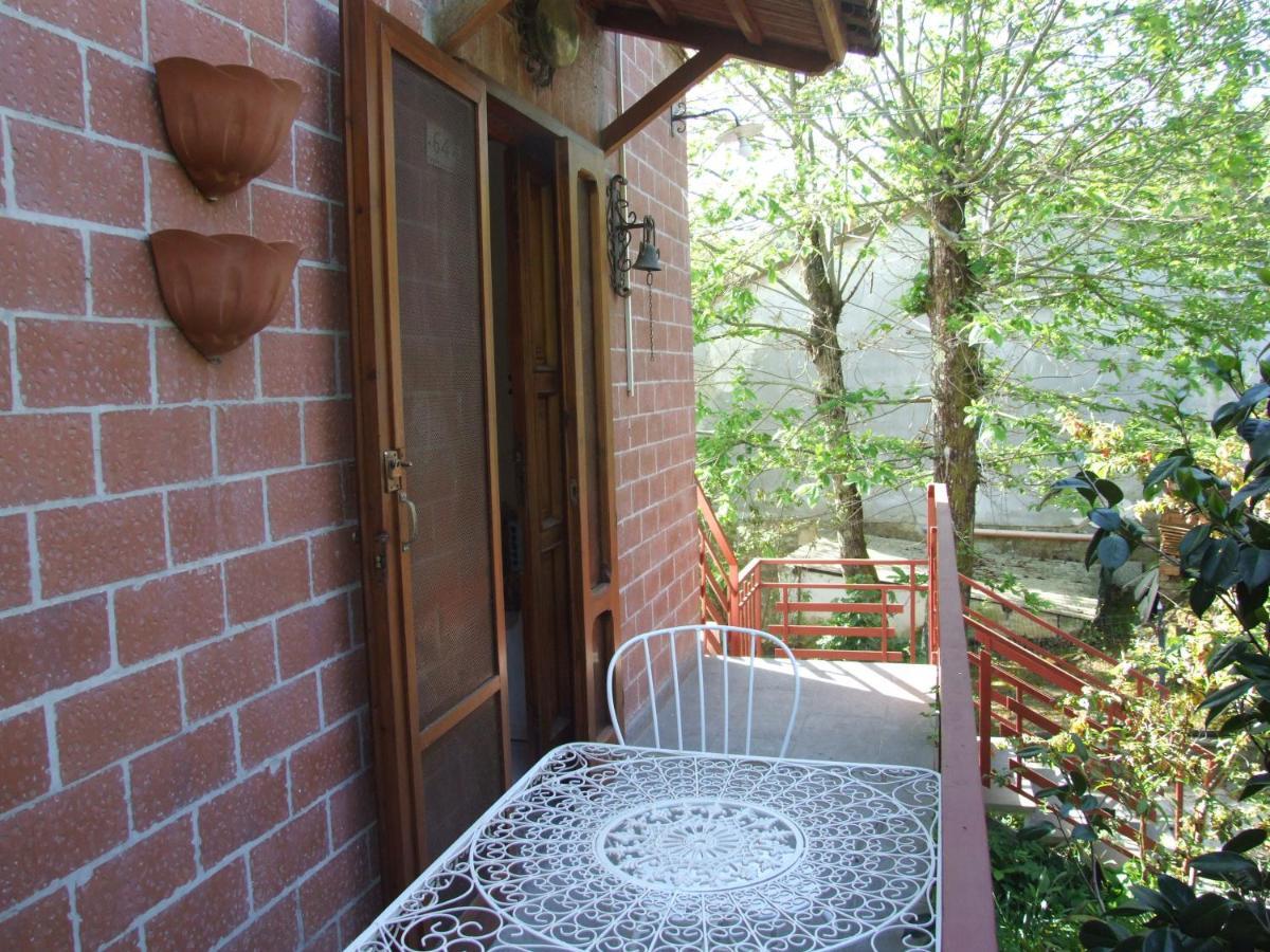 Vacanze Toscane In The Country - Villa Agrifogli 사세타 외부 사진