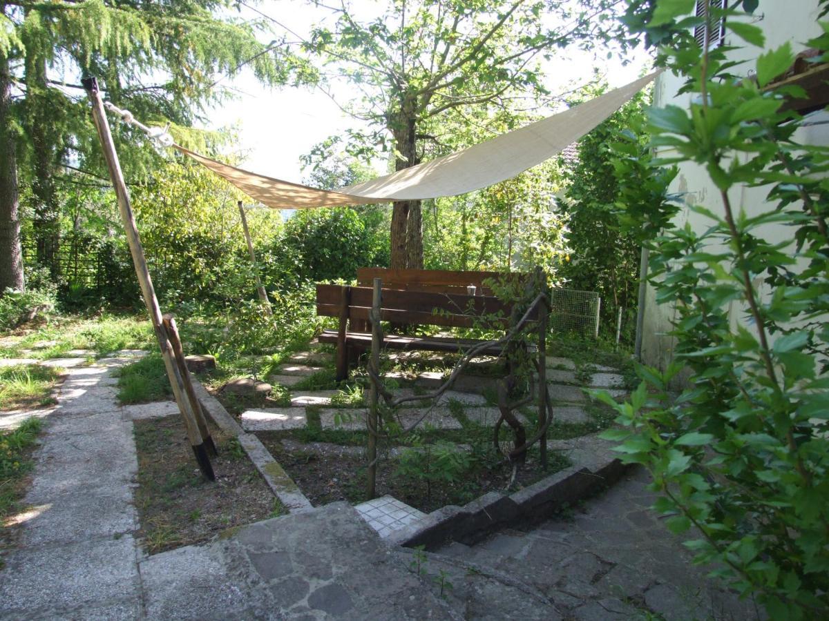 Vacanze Toscane In The Country - Villa Agrifogli 사세타 외부 사진