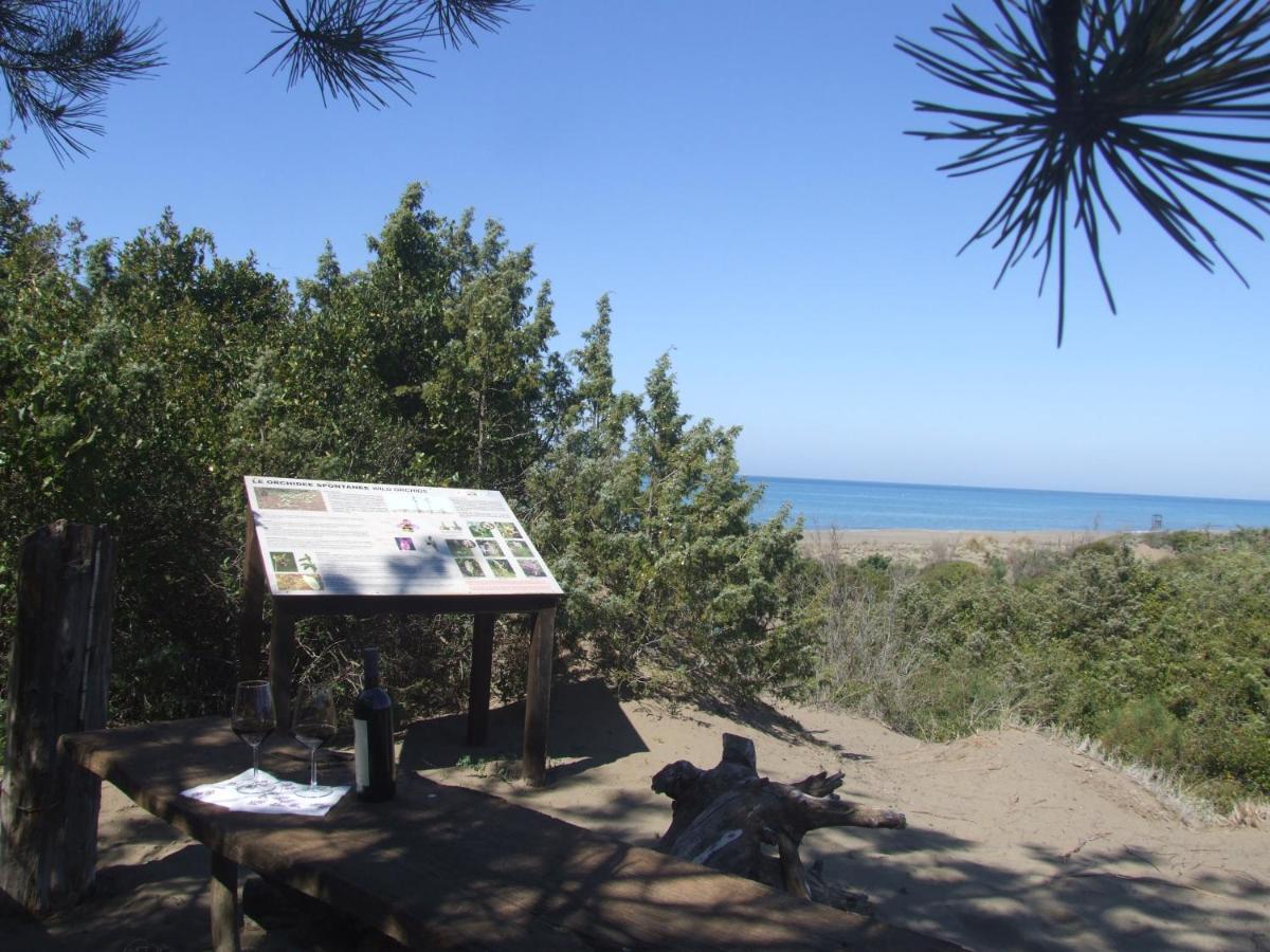 Vacanze Toscane In The Country - Villa Agrifogli 사세타 외부 사진