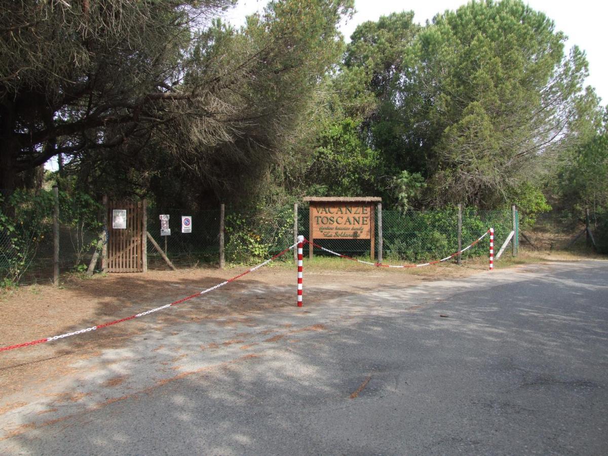 Vacanze Toscane In The Country - Villa Agrifogli 사세타 외부 사진